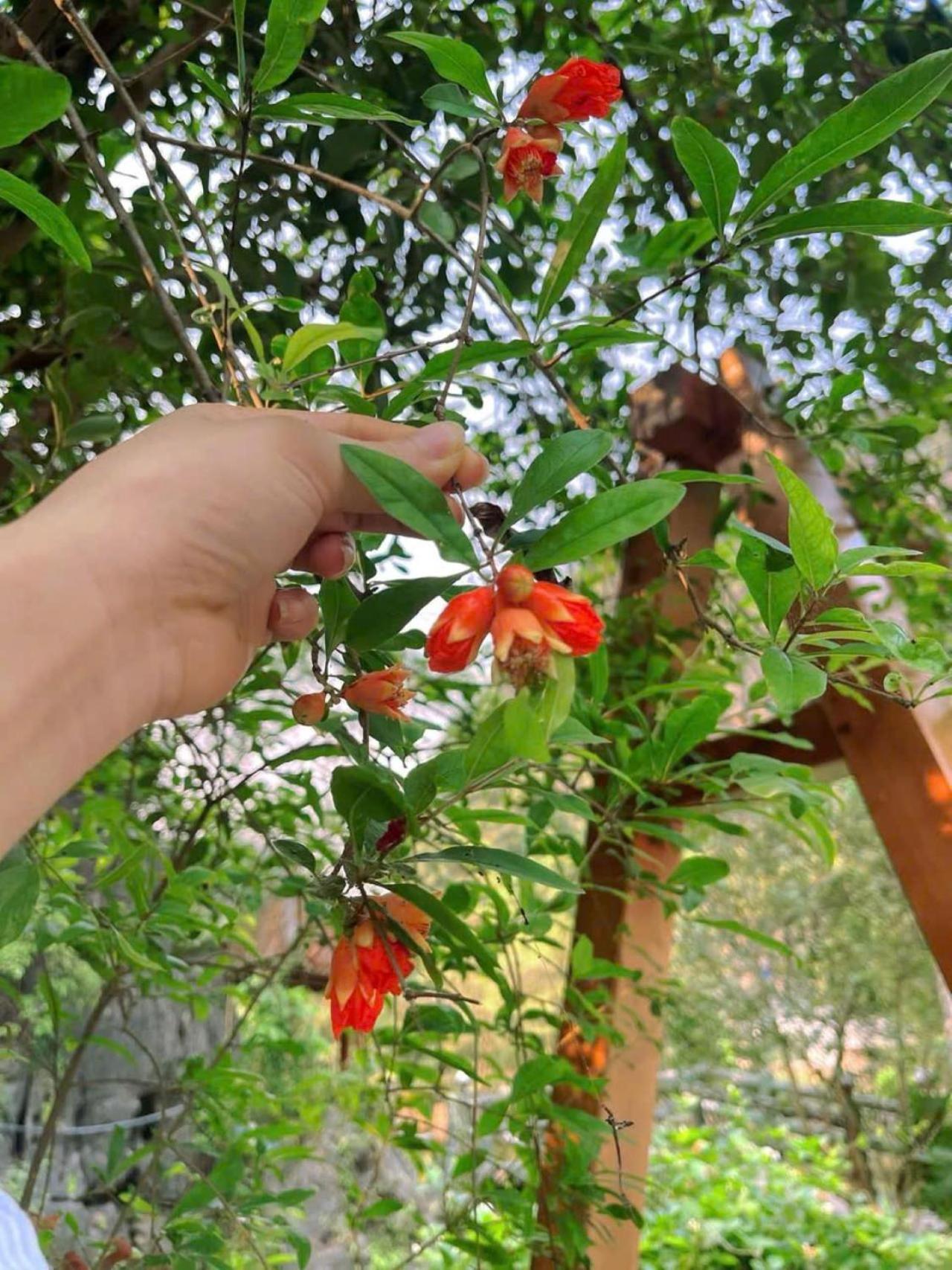 Trang An Heritage Garden Нин Бин Екстериор снимка