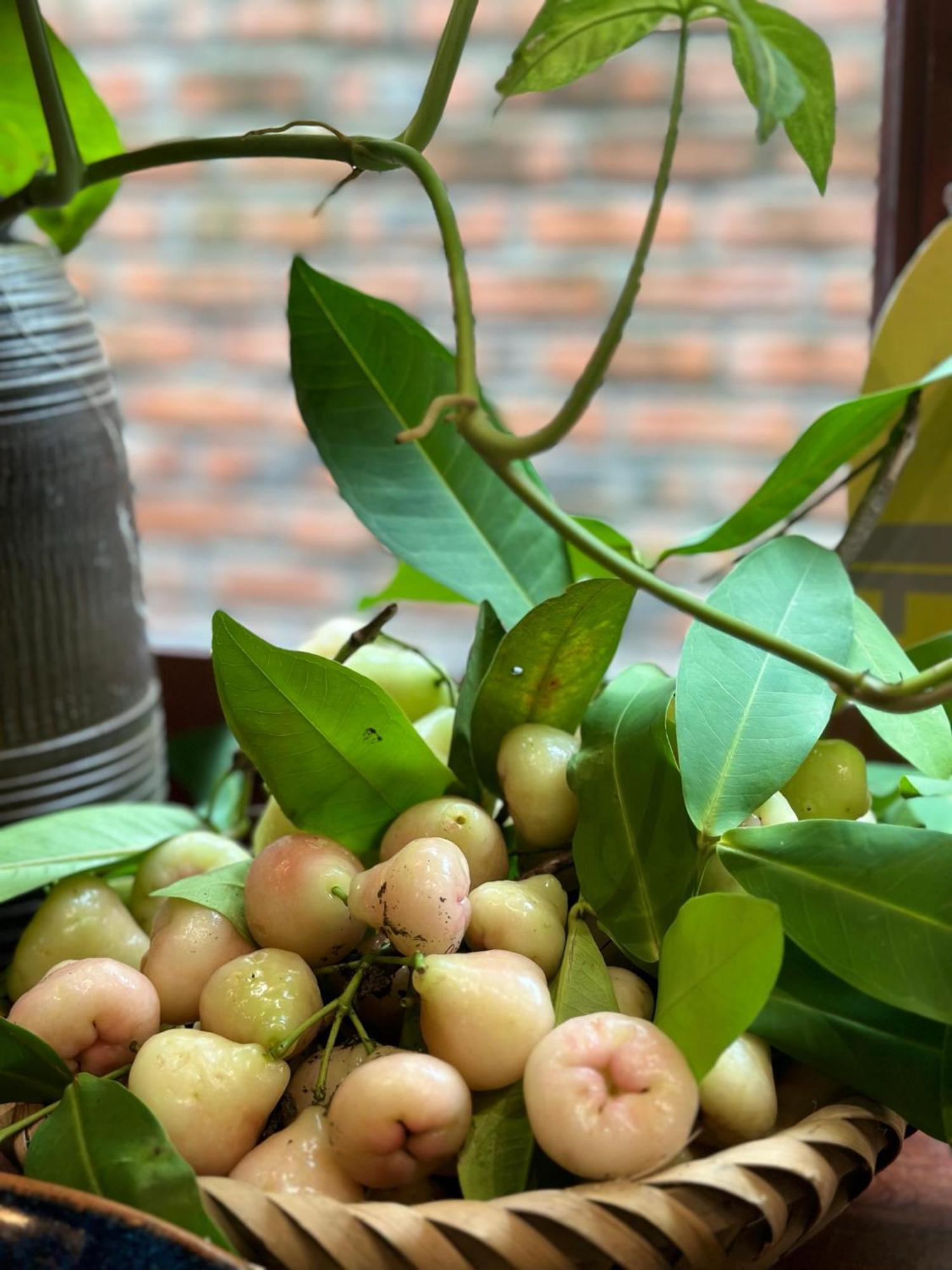 Trang An Heritage Garden Нин Бин Екстериор снимка